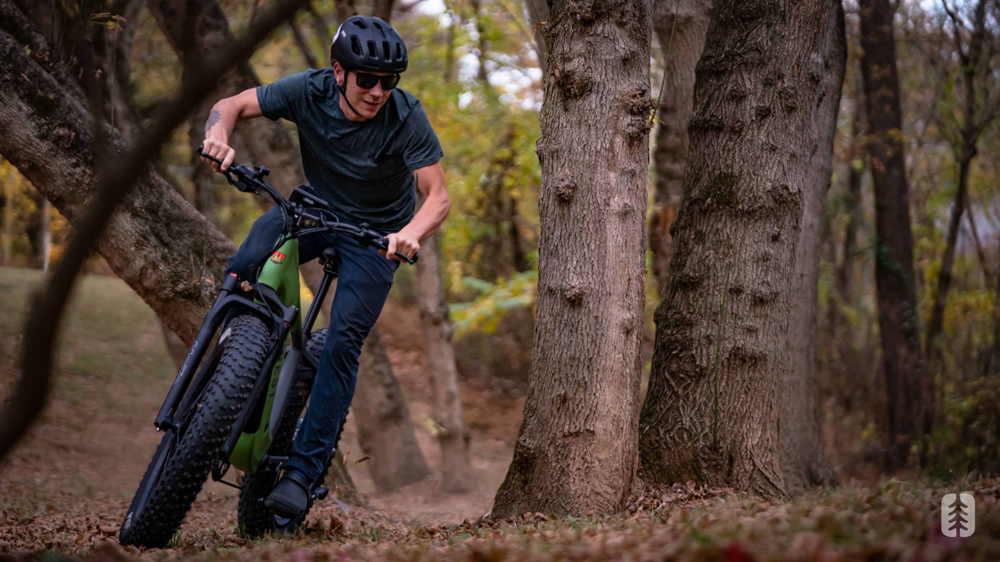 Forest bike on sale